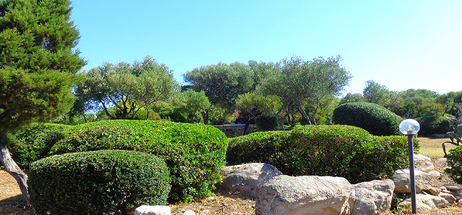 Giardini